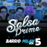 Salsa Prime, Guty