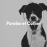 Musique Calmante Pour Chiens