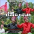 Shori lal, Angrej Singh