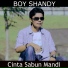 Boy Shandy