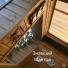 Знавший