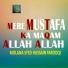 Molana Syed Hussain Farooqi