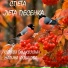 Сергей Подколзин