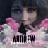 Andrew