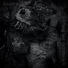 ænorex