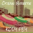 Kody Fey