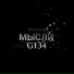 G134