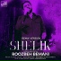 Roozbeh Bemani