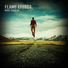 FLAME EFFECT