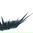 Vectral