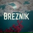 Breznik
