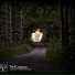 The Flashbulb