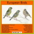 European Birds feat. Redstart