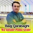 Baqi Qarabaghi