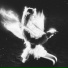 Aeolus