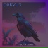 C0RVU5