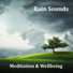 Mindfullness Meditation World