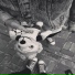 Pochtitvoy