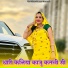 PN Hadoti