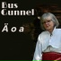 Bus Gunnel
