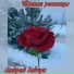 Андрей Гайчук