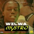 Wilwa feat. Bragga Phelps