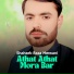 Shahzeb Raza Merwani