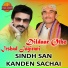 Dildaar Otho, Irshad Jagirani