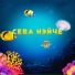 Сева Нэйче