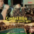 Costel Biju