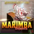 Marimba Orquesta