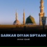 Usman Qadri