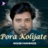 Akash Mahmud