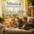 Dreaming Cat, amani sol