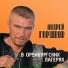 3309. Острог