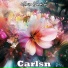 Carlsn