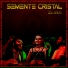 Semente Cristal