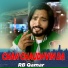 RB Qamar