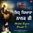 Bhai Sarabjit Singh Ji Ramdas Wale