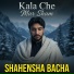 Shahensha Bacha