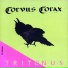 Corvus Corax [1995 - Tritonus]