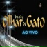 BANDA OLHAR DE GATO