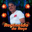 Reginaldo Da Roça