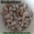 Knokynhayr