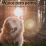 Dog Music Dreams, Pet Music Therapy