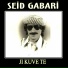 Seid Gabari