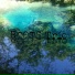 Roots Trio