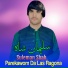 Suleman Shah Watan Dost