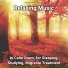 Calm Music, Relaxing Music, Yoga