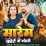 Chhotu Sikari, Savita Yadav